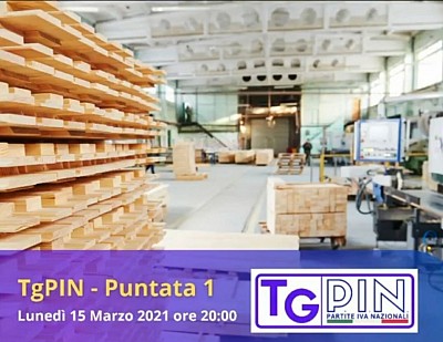 TgPIN, puntata 1, Pin