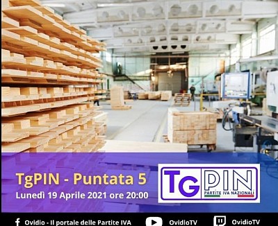 Puntata 5 TGPIN