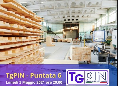 TgPin, puntata 6