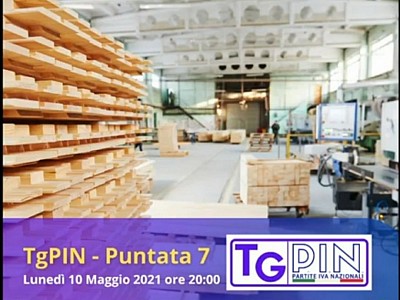 ThPIN puntata 7