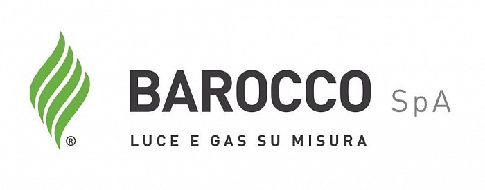 Accedi al sito web: https://baroccospa.it/