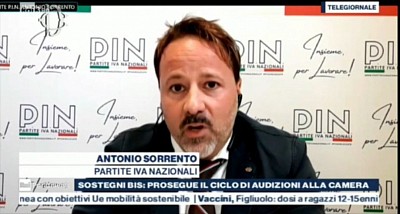 Tg Parlamento, Antonio Sorrento, Pin, Partite Iva Nazionali