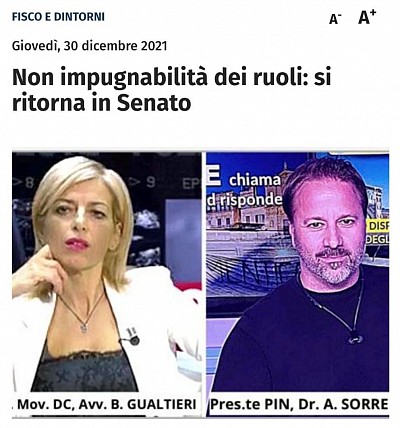 Sorrento, pin, Partite Iva, senato, camera di commercio, petizione